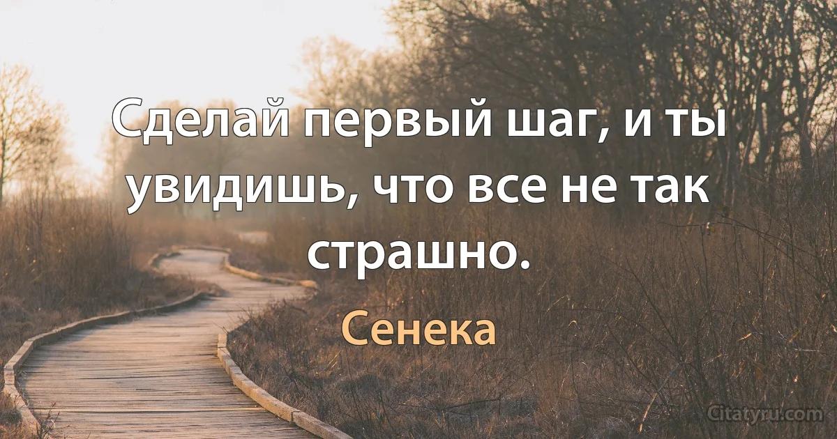 Сделай первый шаг, и ты увидишь, что все не так страшно. (Сенека)