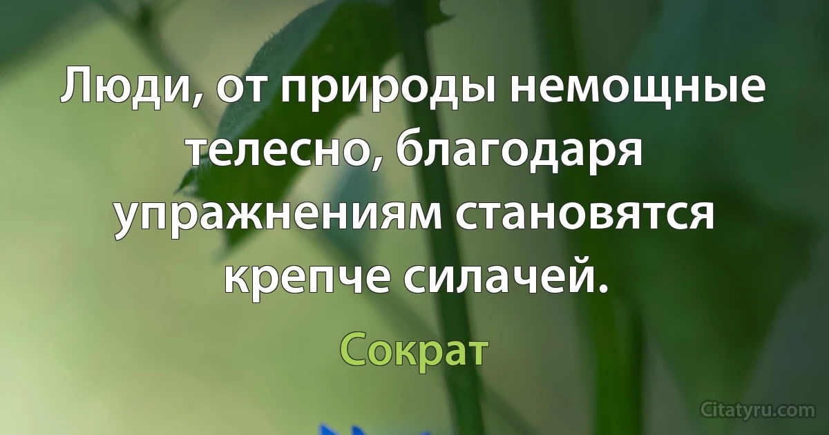 Люди, от природы немощные телесно, благодаря упражнениям становятся крепче силачей. (Сократ)