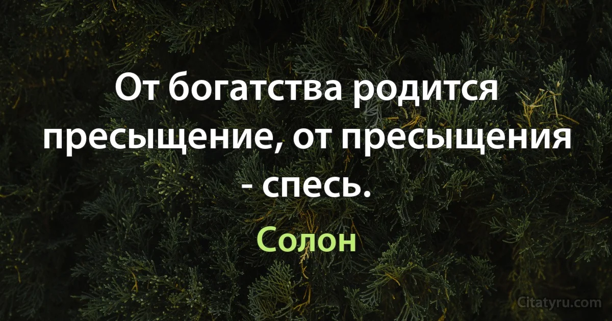 От богатства родится пресыщение, от пресыщения - спесь. (Солон)