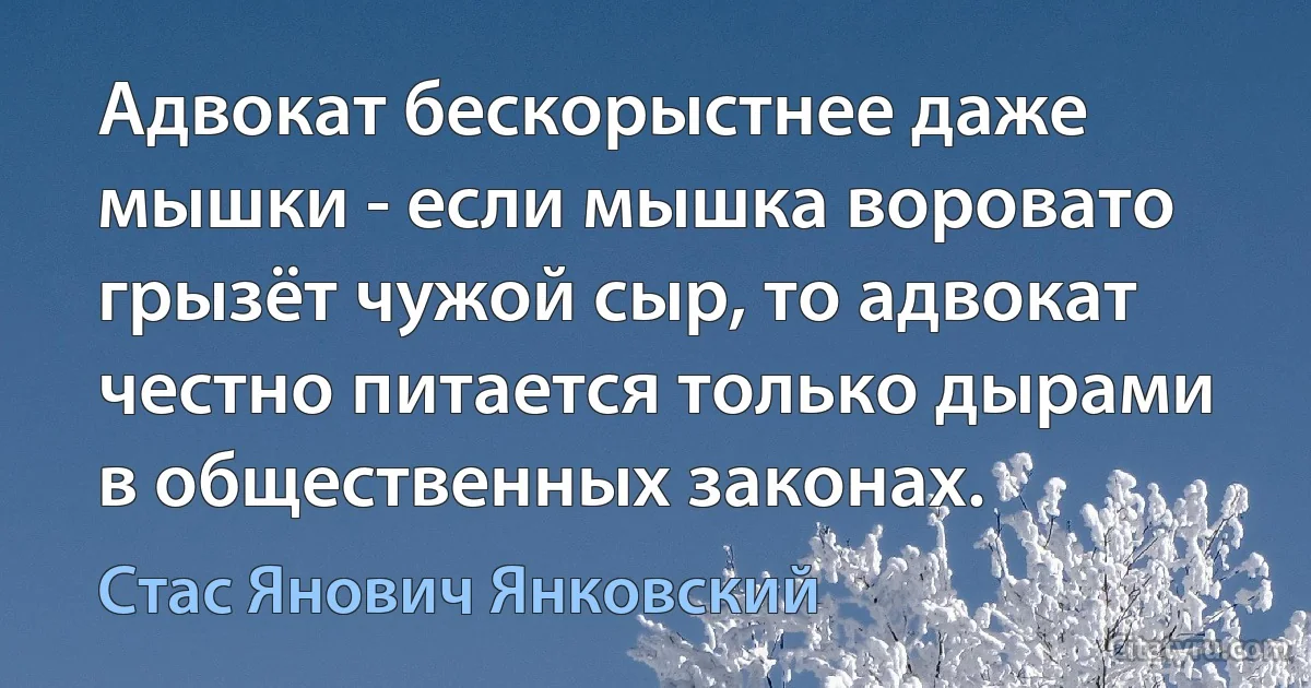 Адвокат бескорыстнее даже мышки - если мышка воровато грызёт чужой сыр, то адвокат честно питается только дырами в общественных законах. (Стас Янович Янковский)