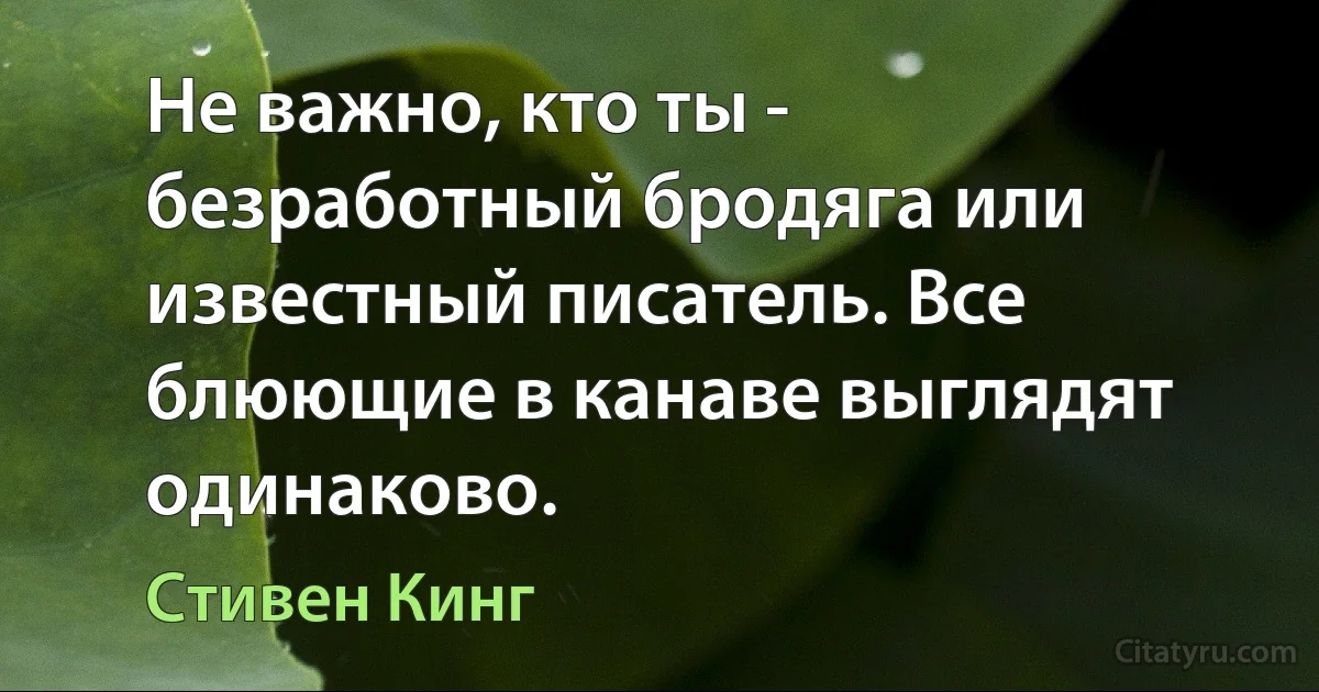 Не важно, кто ты - безработный бродяга или известный писатель. Все блюющие в канаве выглядят одинаково. (Стивен Кинг)