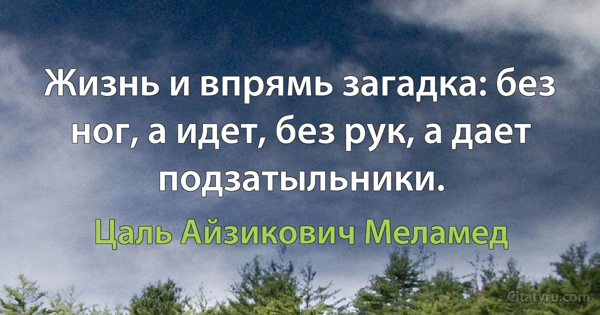 Жизнь и впрямь загадка: без ног, а идет, без рук, а дает подзатыльники. (Цаль Айзикович Меламед)