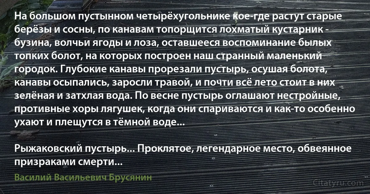 На большом пустынном четырёхугольнике кое-где растут старые берёзы и сосны, по канавам топорщится лохматый кустарник - бузина, волчьи ягоды и лоза, оставшееся воспоминание былых топких болот, на которых построен наш странный маленький городок. Глубокие канавы прорезали пустырь, осушая болота, канавы осыпались, заросли травой, и почти всё лето стоит в них зелёная и затхлая вода. По весне пустырь оглашают нестройные, противные хоры лягушек, когда они спариваются и как-то особенно ухают и плещутся в тёмной воде...

Рыжаковский пустырь... Проклятое, легендарное место, обвеянное призраками смерти... (Василий Васильевич Брусянин)