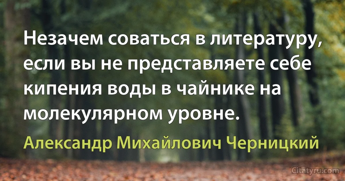 Незачем соваться в литературу, если вы не представляете себе кипения воды в чайнике на молекулярном уровне. (Александр Михайлович Черницкий)