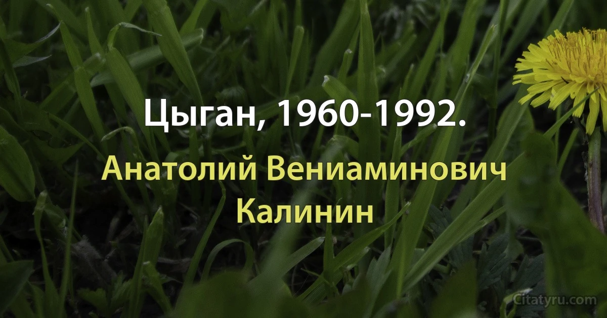 Цыган, 1960-1992. (Анатолий Вениаминович Калинин)