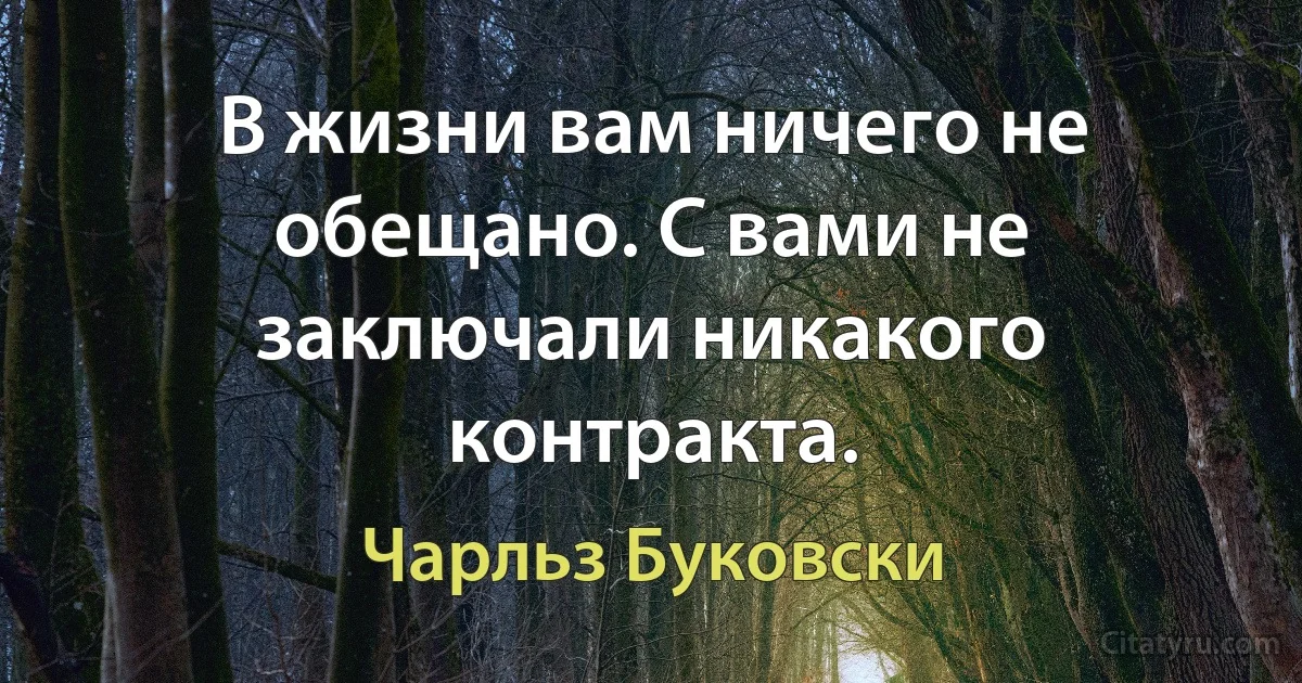 В жизни вам ничего не обещано. С вами не заключали никакого контракта. (Чарльз Буковски)