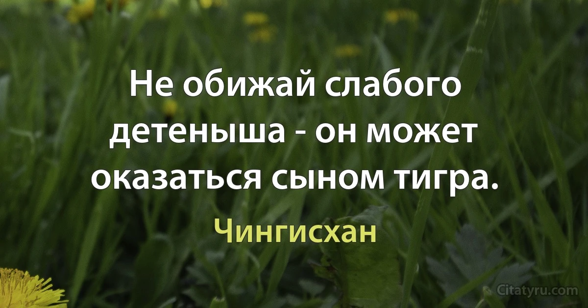 Не обижай слабого детеныша - он может оказаться сыном тигра. (Чингисхан)