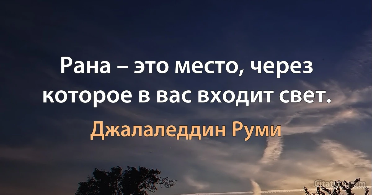 Рана – это место, через которое в вас входит свет. (Джалаледдин Руми)