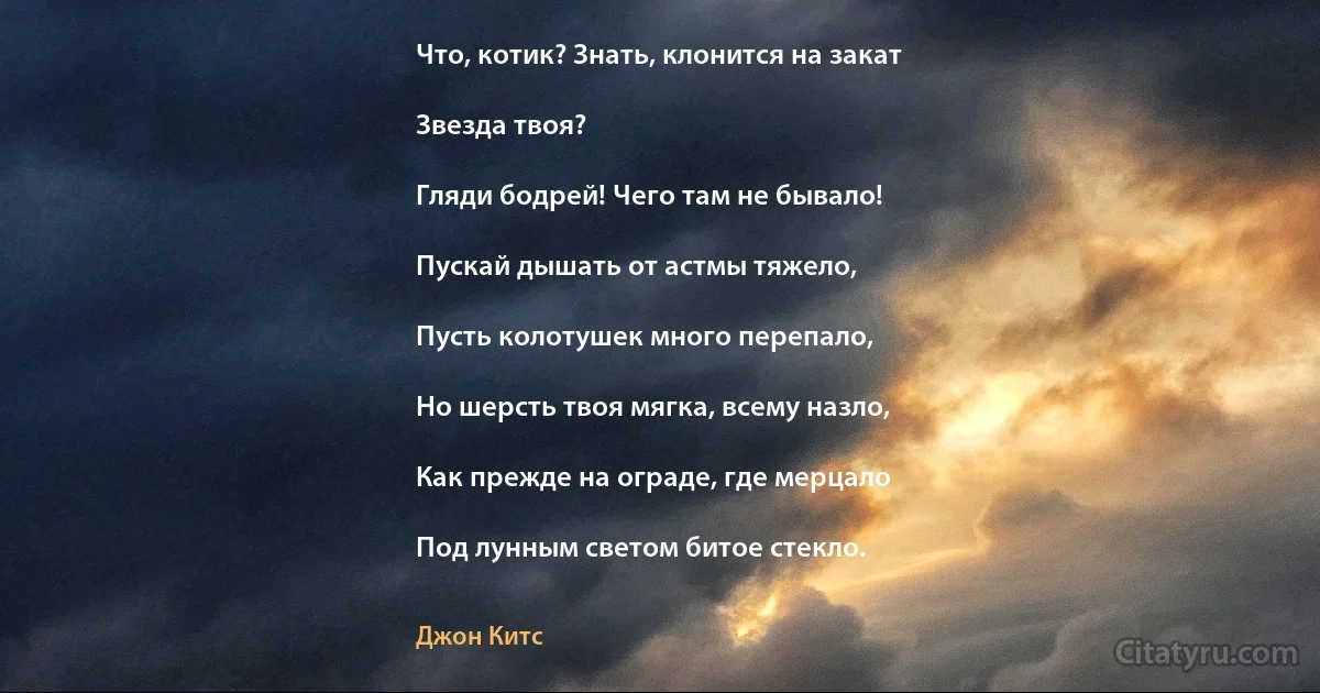 Что, котик? Знать, клонится на закат

Звезда твоя?

Гляди бодрей! Чего там не бывало!

Пускай дышать от астмы тяжело,

Пусть колотушек много перепало,

Но шерсть твоя мягка, всему назло,

Как прежде на ограде, где мерцало

Под лунным светом битое стекло. (Джон Китс)