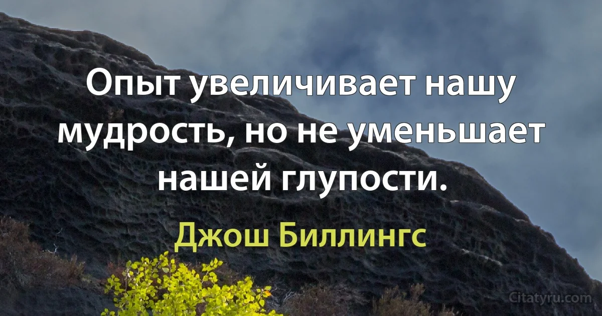 Опыт увеличивает нашу мудрость, но не уменьшает нашей глупости. (Джош Биллингс)