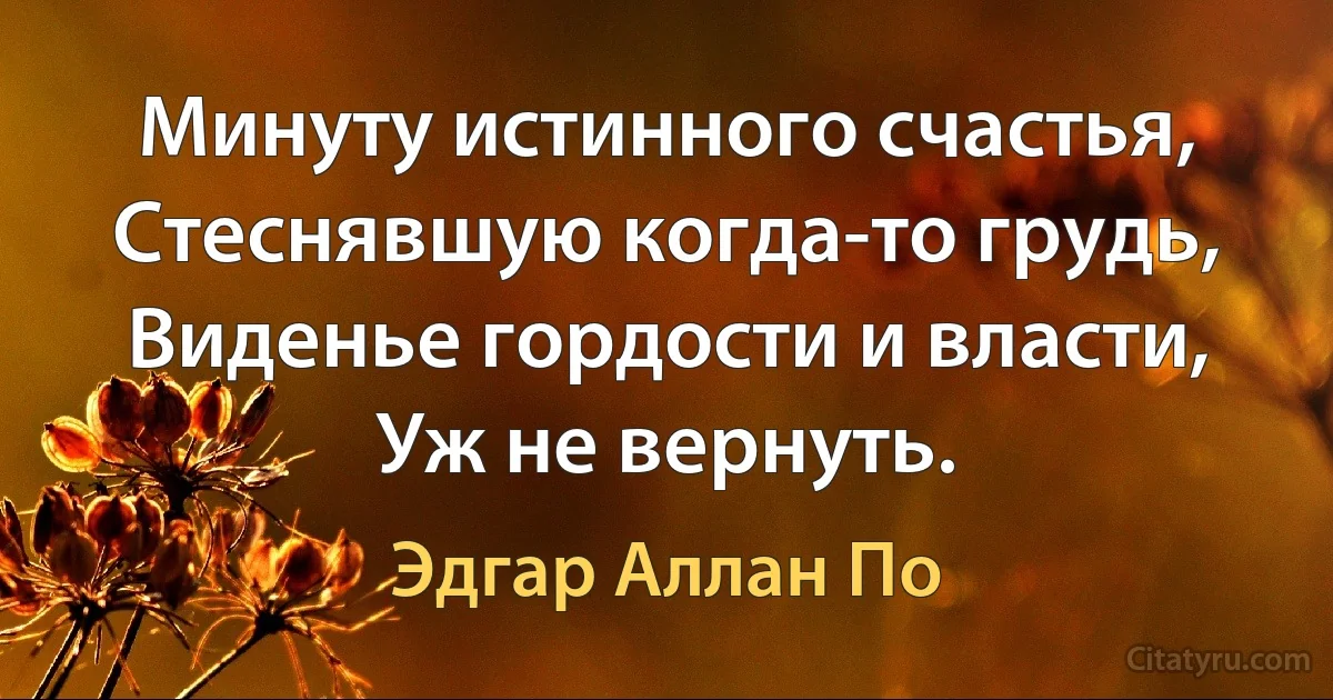 Минуту истинного счастья,
Стеснявшую когда-то грудь,
Виденье гордости и власти,
Уж не вернуть. (Эдгар Аллан По)