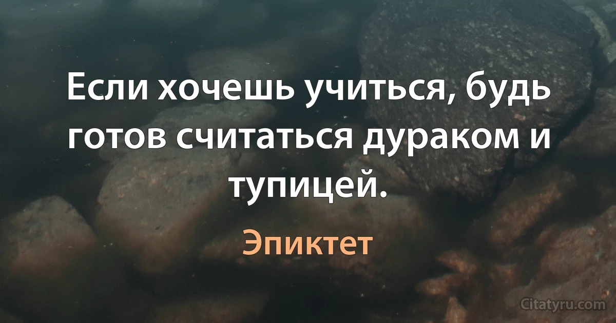 Если хочешь учиться, будь готов считаться дураком и тупицей. (Эпиктет)