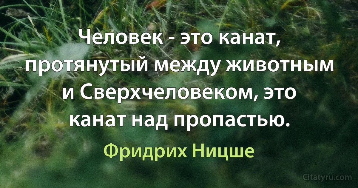 Человек - это канат, протянутый между животным и Сверхчеловеком, это канат над пропастью. (Фридрих Ницше)