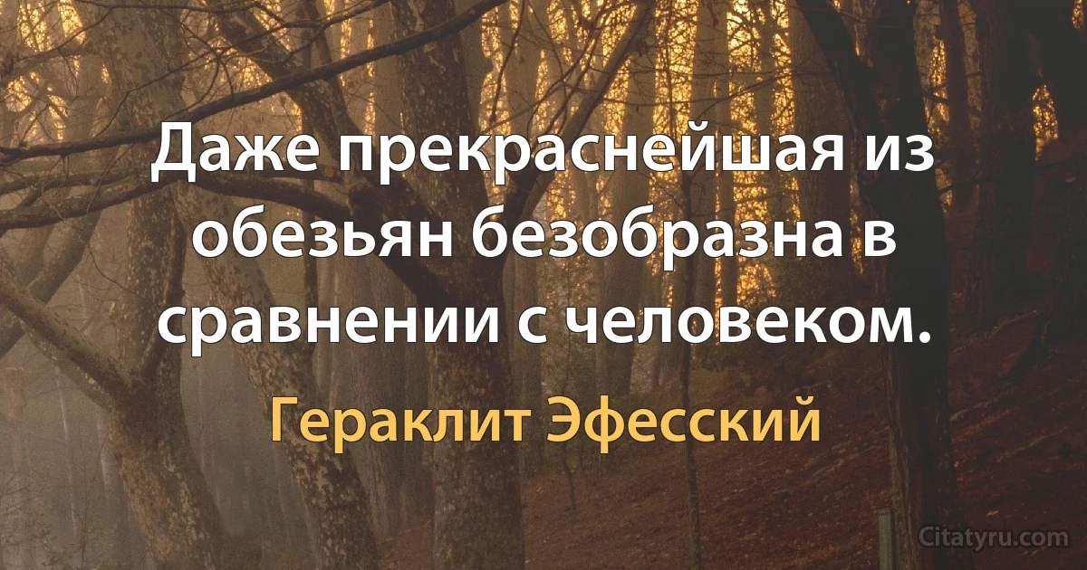 Даже прекраснейшая из обезьян безобразна в сравнении с человеком. (Гераклит Эфесский)