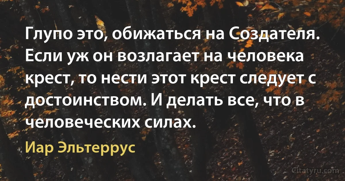 Глупо это, обижаться на Создателя. Если уж он возлагает на человека крест, то нести этот крест следует с достоинством. И делать все, что в человеческих силах. (Иар Эльтеррус)