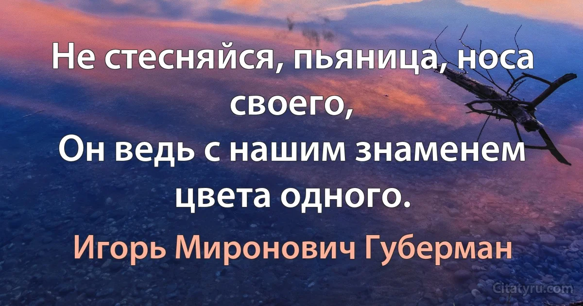 Не стесняйся, пьяница, носа своего,
Он ведь с нашим знаменем цвета одного. (Игорь Миронович Губерман)