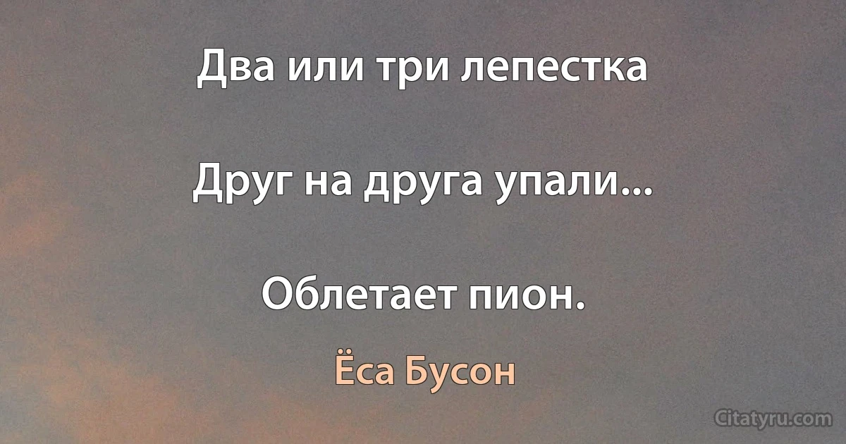 Два или три лепестка

Друг на друга упали...

Облетает пион. (Ёса Бусон)