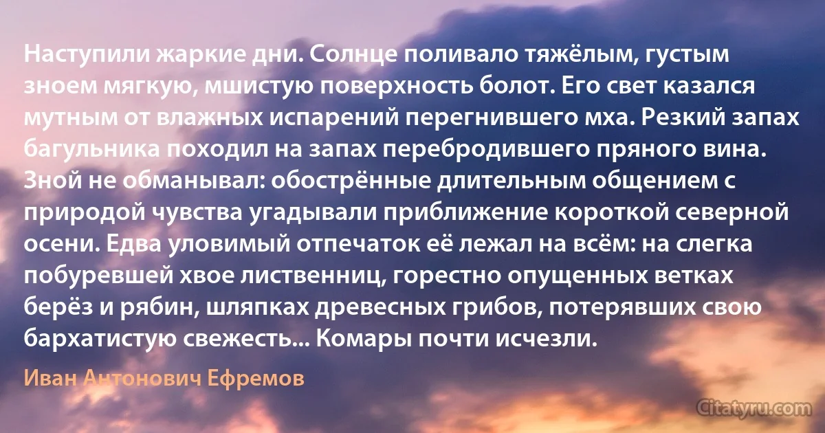 Наступили жаркие дни. Солнце поливало тяжёлым, густым зноем мягкую, мшистую поверхность болот. Его свет казался мутным от влажных испарений перегнившего мха. Резкий запах багульника походил на запах перебродившего пряного вина. Зной не обманывал: обострённые длительным общением с природой чувства угадывали приближение короткой северной осени. Едва уловимый отпечаток её лежал на всём: на слегка побуревшей хвое лиственниц, горестно опущенных ветках берёз и рябин, шляпках древесных грибов, потерявших свою бархатистую свежесть... Комары почти исчезли. (Иван Антонович Ефремов)