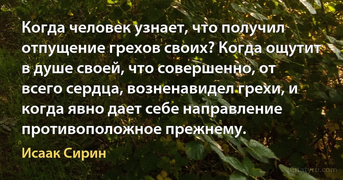 Когда человек узнает, что получил отпущение грехов своих? Когда ощутит в душе своей, что совершенно, от всего сердца, возненавидел грехи, и когда явно дает себе направление противоположное прежнему. (Исаак Сирин)