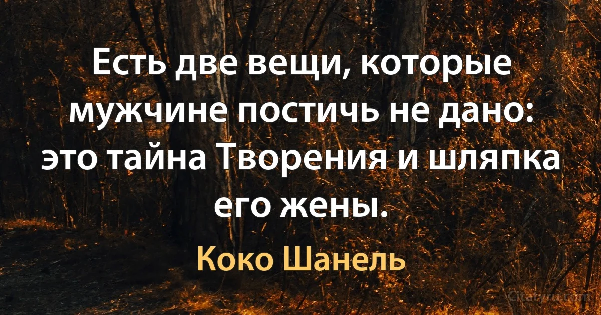 Есть две вещи, которые мужчине постичь не дано: это тайна Творения и шляпка его жены. (Коко Шанель)