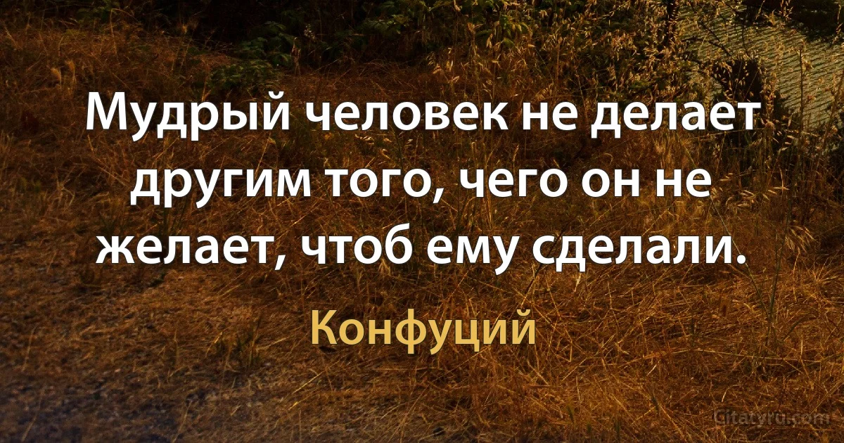 Мудрый человек не делает другим того, чего он не желает, чтоб ему сделали. (Конфуций)