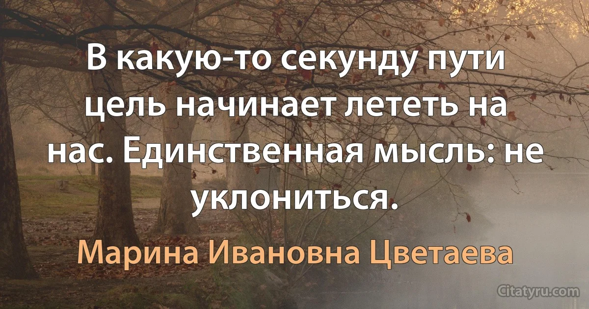 В какую-то секунду пути цель начинает лететь на нас. Единственная мысль: не уклониться. (Марина Ивановна Цветаева)