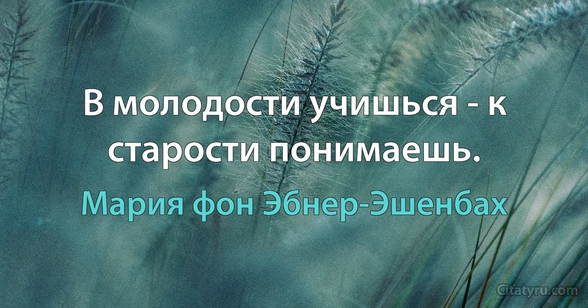 В молодости учишься - к старости понимаешь. (Мария фон Эбнер-Эшенбах)