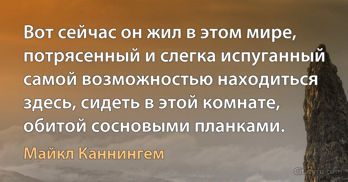 Вот сейчас он жил в этом мире, потрясенный и слегка испуганный самой возможностью находиться здесь, сидеть в этой комнате, обитой сосновыми планками. (Майкл Каннингем)