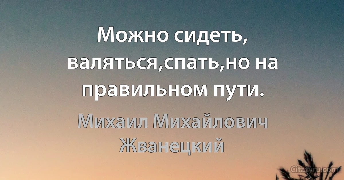 Можно сидеть, валяться,спать,но на правильном пути. (Михаил Михайлович Жванецкий)