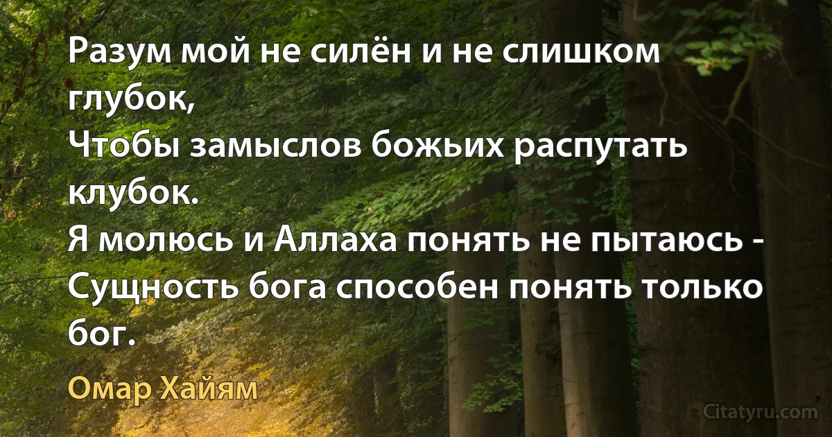 Разум мой не силён и не слишком глубок,
Чтобы замыслов божьих распутать клубок.
Я молюсь и Аллаха понять не пытаюсь -
Сущность бога способен понять только бог. (Омар Хайям)