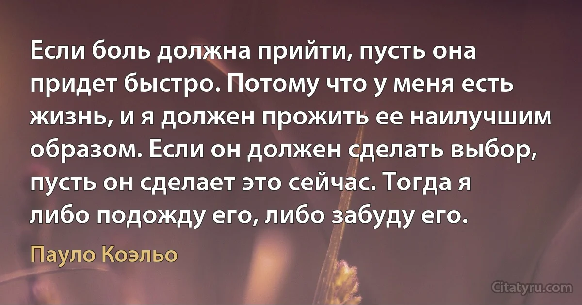 Если боль должна прийти, пусть она придет быстро. Потому что у меня есть жизнь, и я должен прожить ее наилучшим образом. Если он должен сделать выбор, пусть он сделает это сейчас. Тогда я либо подожду его, либо забуду его. (Пауло Коэльо)