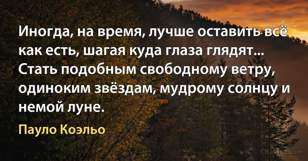 Иногда, на время, лучше оставить всё как есть, шагая куда глаза глядят... Стать подобным свободному ветру, одиноким звёздам, мудрому солнцу и немой луне. (Пауло Коэльо)