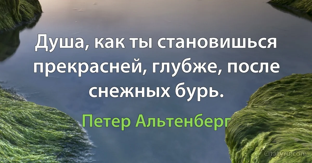 Душа, как ты становишься прекрасней, глубже, после снежных бурь. (Петер Альтенберг)