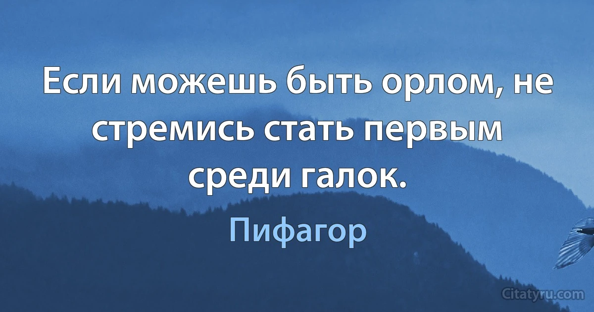 Если можешь быть орлом, не стремись стать первым среди галок. (Пифагор)