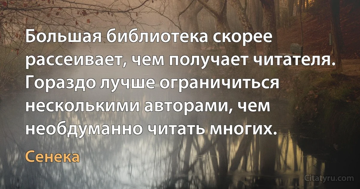 Большая библиотека скорее рассеивает, чем получает читателя. Гораздо лучше ограничиться несколькими авторами, чем необдуманно читать многих. (Сенека)