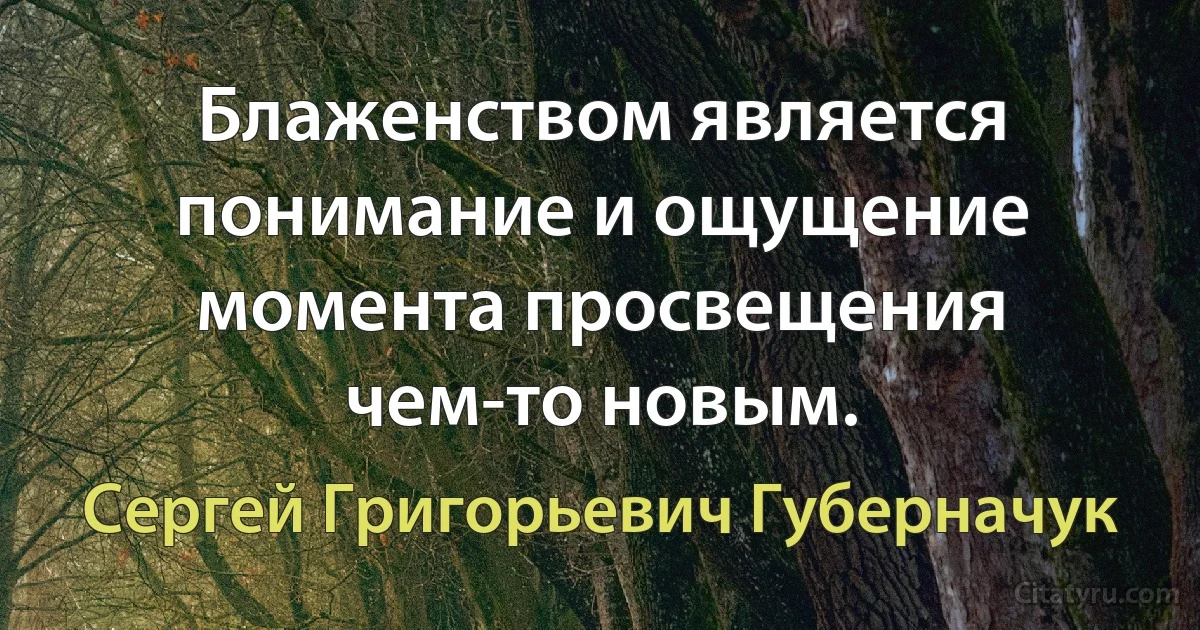 Блаженством является понимание и ощущение момента просвещения чем-то новым. (Сергей Григорьевич Губерначук)