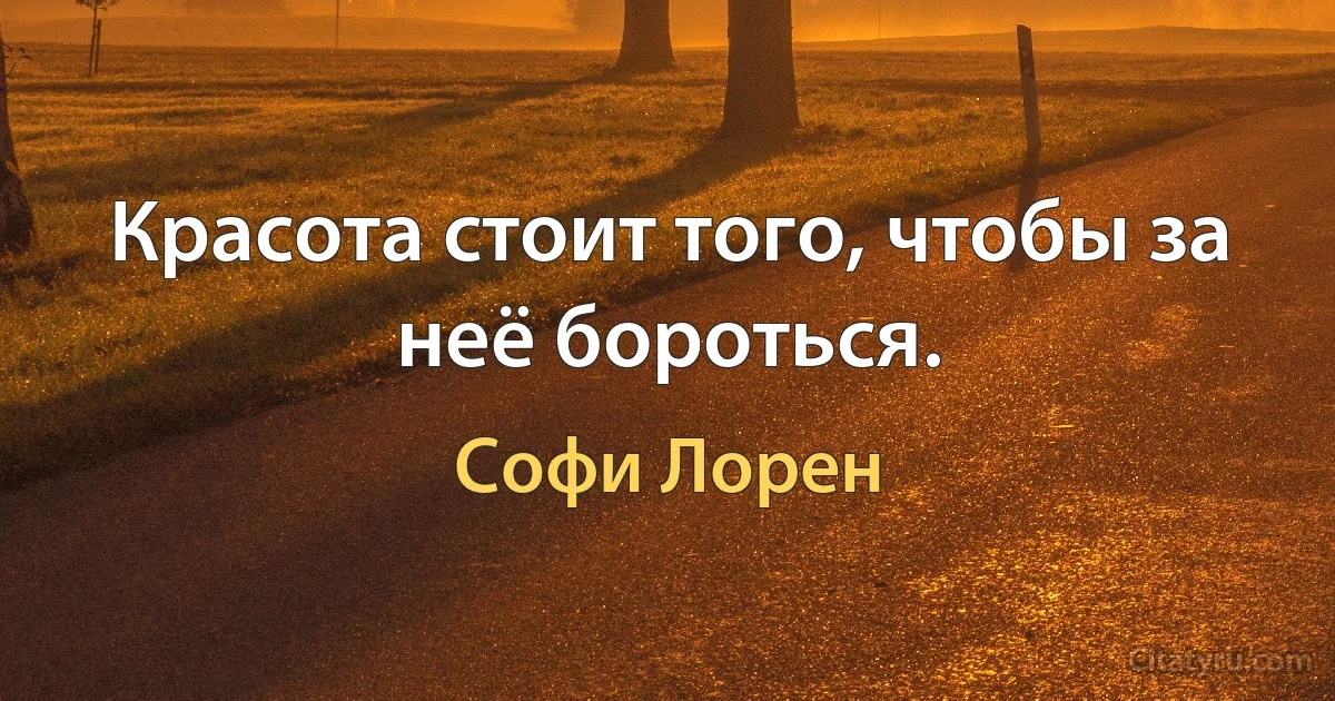 Красота стоит того, чтобы за неё бороться. (Софи Лорен)