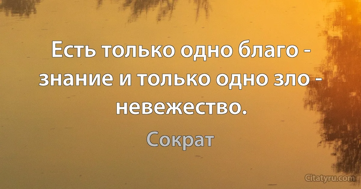 Есть только одно благо - знание и только одно зло - невежество. (Сократ)