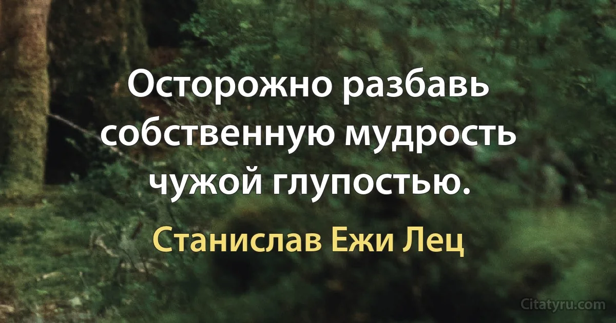 Осторожно разбавь собственную мудрость чужой глупостью. (Станислав Ежи Лец)