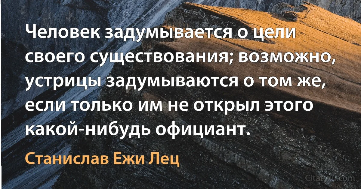 Человек задумывается о цели своего существования; возможно, устрицы задумываются о том же, если только им не открыл этого какой-нибудь официант. (Станислав Ежи Лец)