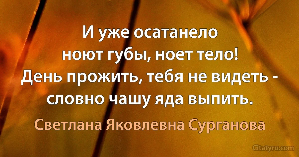 И уже осатанело
ноют губы, ноет тело!
День прожить, тебя не видеть -
словно чашу яда выпить. (Светлана Яковлевна Сурганова)