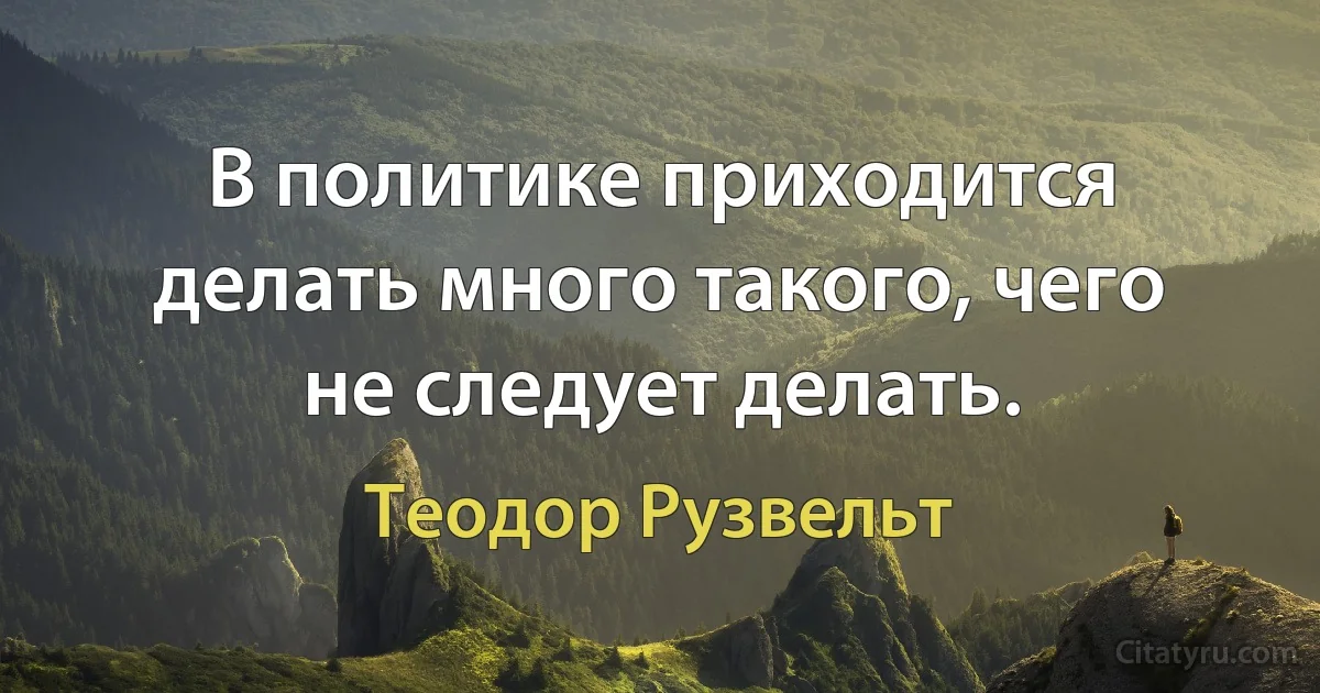 В политике приходится делать много такого, чего не следует делать. (Теодор Рузвельт)