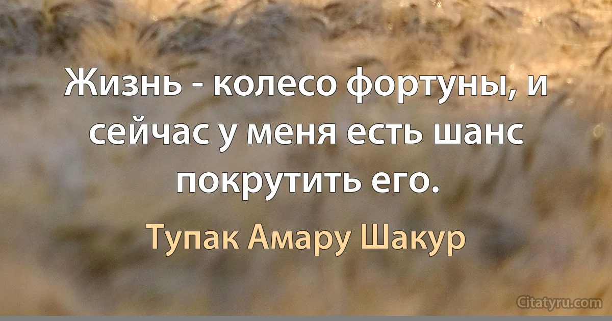 Жизнь - колесо фортуны, и сейчас у меня есть шанс покрутить его. (Тупак Амару Шакур)