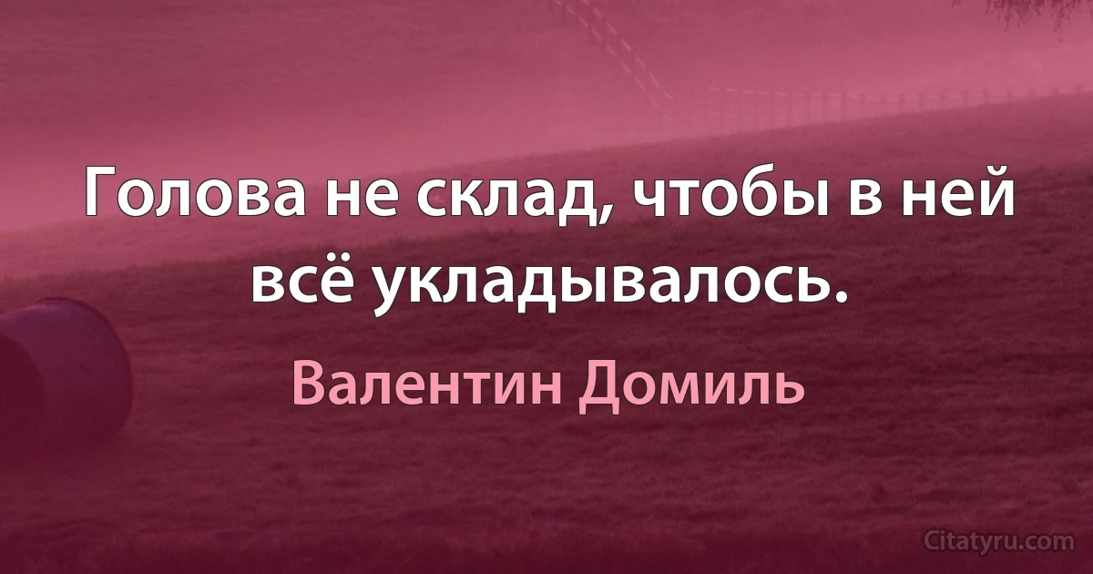 Голова не склад, чтобы в ней всё укладывалось. (Валентин Домиль)