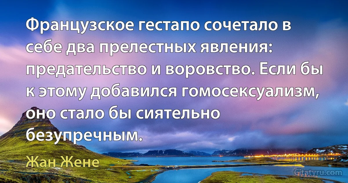 Французское гестапо сочетало в себе два прелестных явления: предательство и воровство. Если бы к этому добавился гомосексуализм, оно стало бы сиятельно безупречным. (Жан Жене)