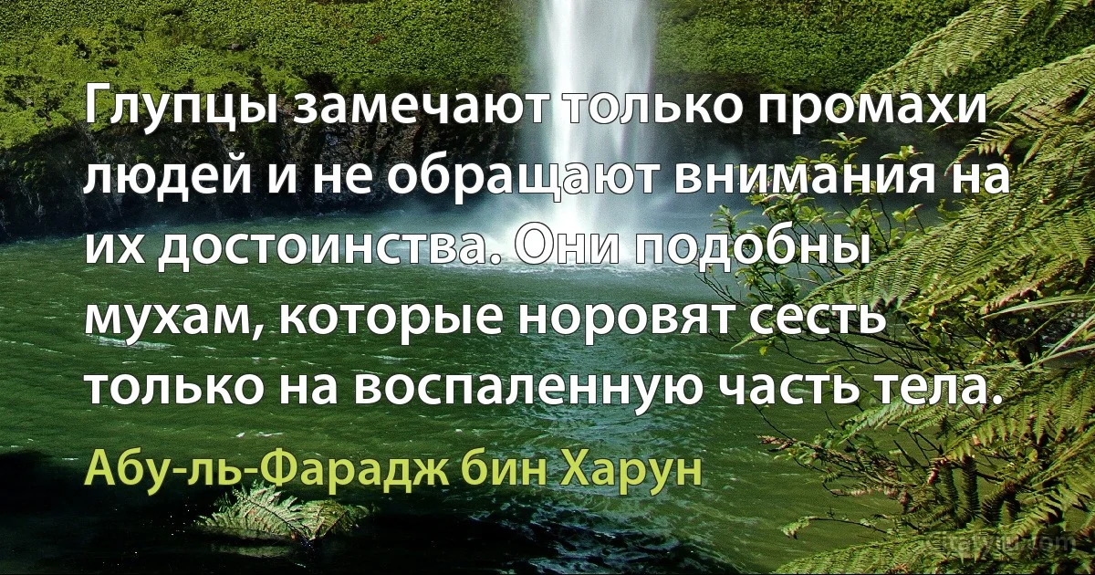 Глупцы замечают только промахи людей и не обращают внимания на их достоинства. Они подобны мухам, которые норовят сесть только на воспаленную часть тела. (Абу-ль-Фарадж бин Харун)