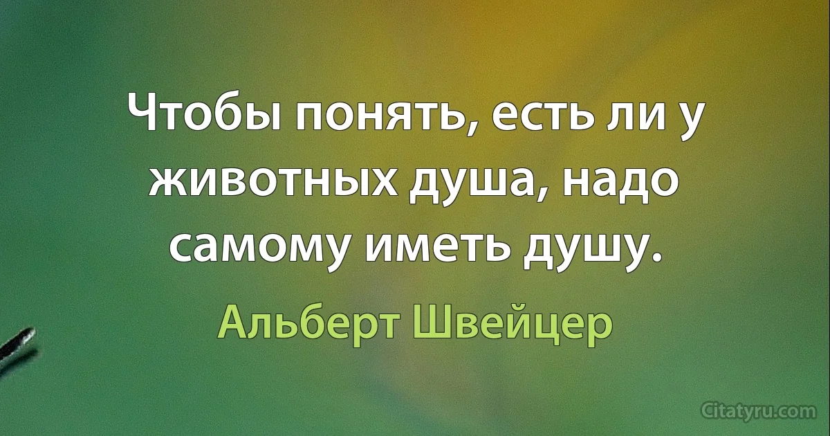 Чтобы понять, есть ли у животных душа, надо самому иметь душу. (Альберт Швейцер)