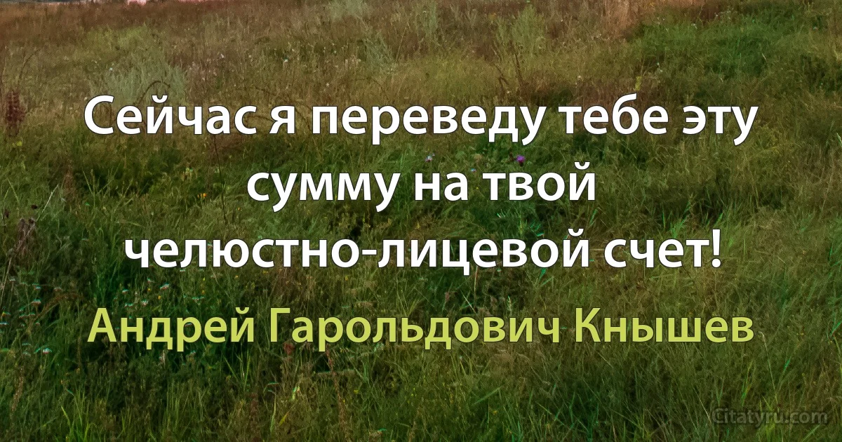 Сейчас я переведу тебе эту сумму на твой челюстно-лицевой счет! (Андрей Гарольдович Кнышев)