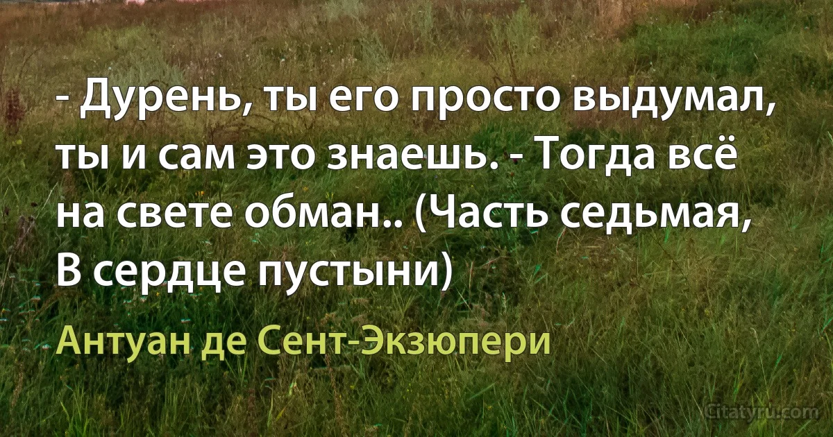 - Дурень, ты его просто выдумал, ты и сам это знаешь. - Тогда всё на свете обман.. (Часть седьмая, В сердце пустыни) (Антуан де Сент-Экзюпери)