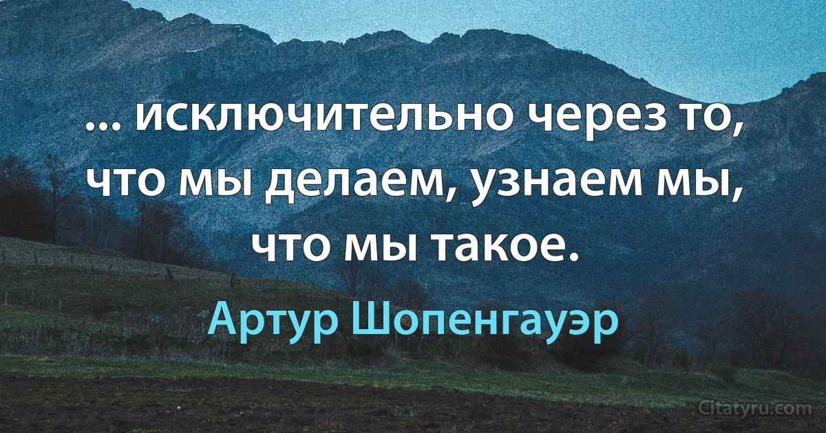 ... исключительно через то, что мы делаем, узнаем мы, что мы такое. (Артур Шопенгауэр)